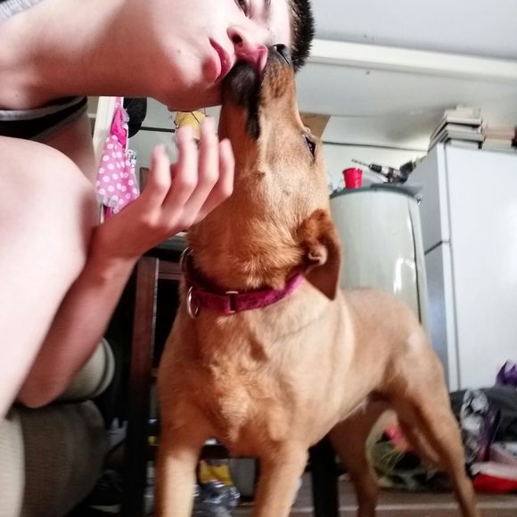 Meet your Posher, Matthew - Picture 1 of 1